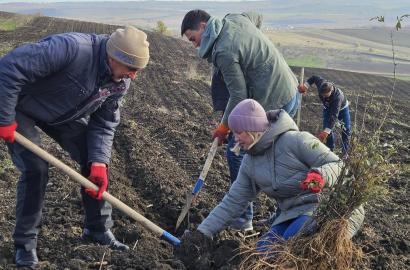  Autoritatea Aeronautică Civilă susține inițiativa națională de împădurire pentru un viitor sustenabil