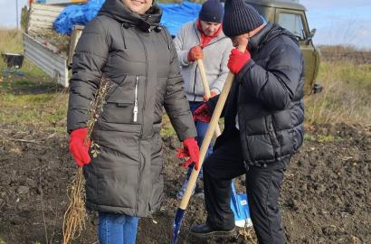  Autoritatea Aeronautică Civilă susține inițiativa națională de împădurire pentru un viitor sustenabil