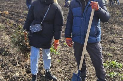 Autoritatea Aeronautică Civilă susține inițiativa națională de împădurire pentru un viitor sustenabil 