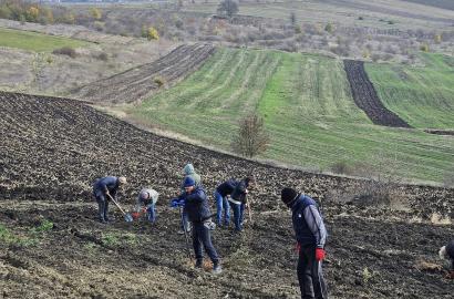  Autoritatea Aeronautică Civilă susține inițiativa națională de împădurire pentru un viitor sustenabil